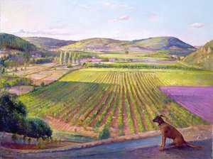 Assistindo das paredes, Old Provence, 1993